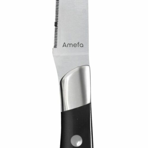 PMH_AMEFA_2550A1B000113 COUTEAU STEAK ACHILLE NOIR
